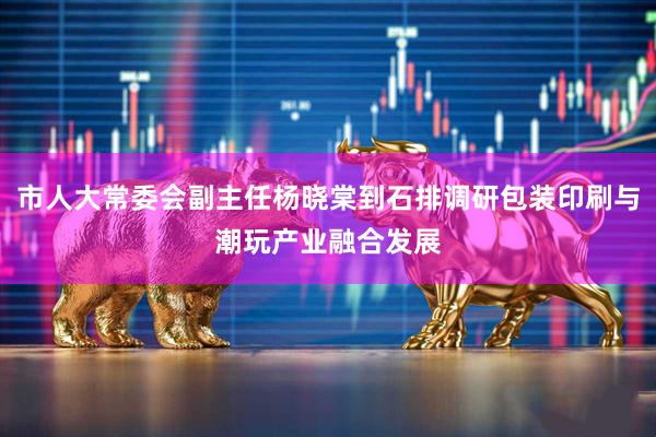 市人大常委会副主任杨晓棠到石排调研包装印刷与潮玩产业融合发展