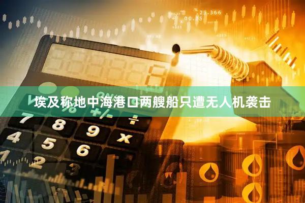 埃及称地中海港口两艘船只遭无人机袭击