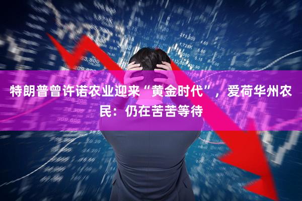 特朗普曾许诺农业迎来“黄金时代”，爱荷华州农民：仍在苦苦等待